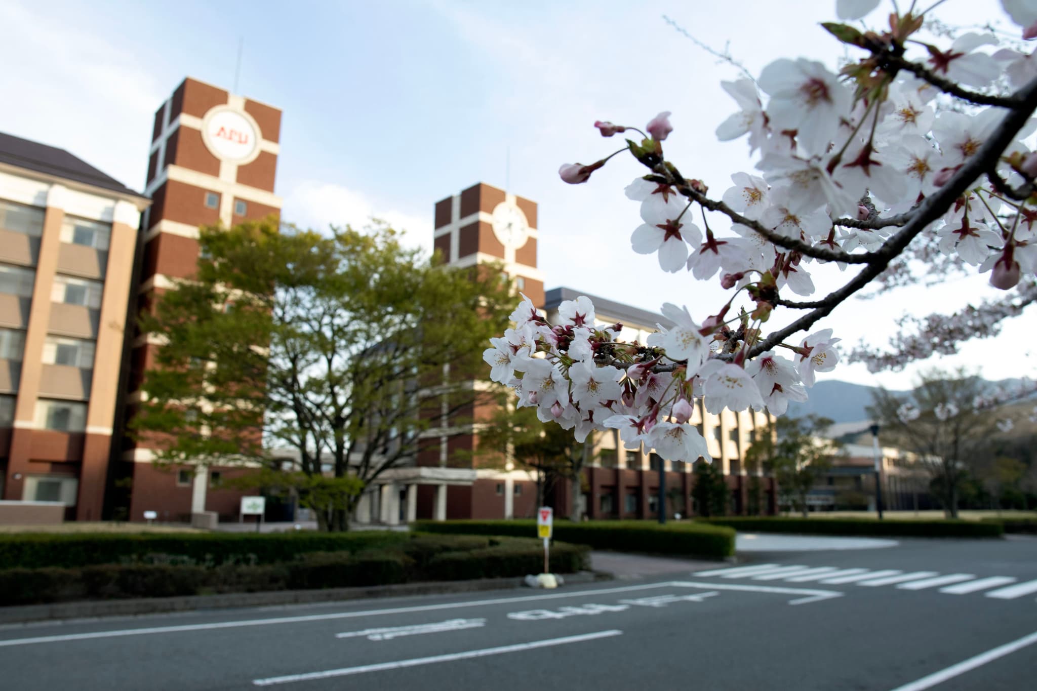 Beppu Sakura