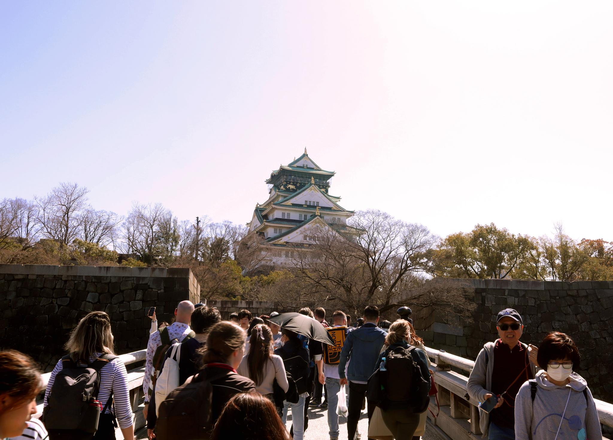 Osaka Castle's Springtime Radiance